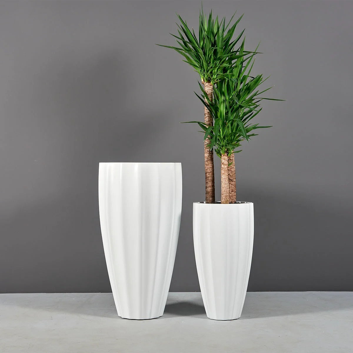 San José Ribbed Planter