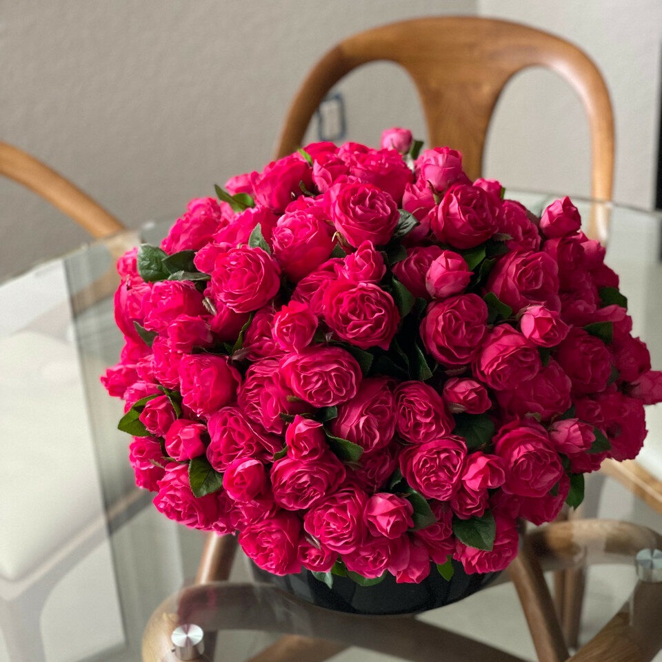 Dark pink English roses in a black glass vase.