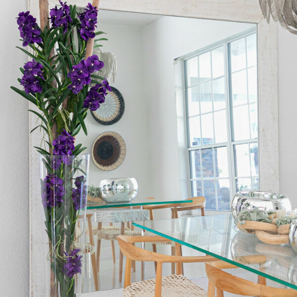 Purple Vanda Orchids and floating wood inside a conical glass cylinder.