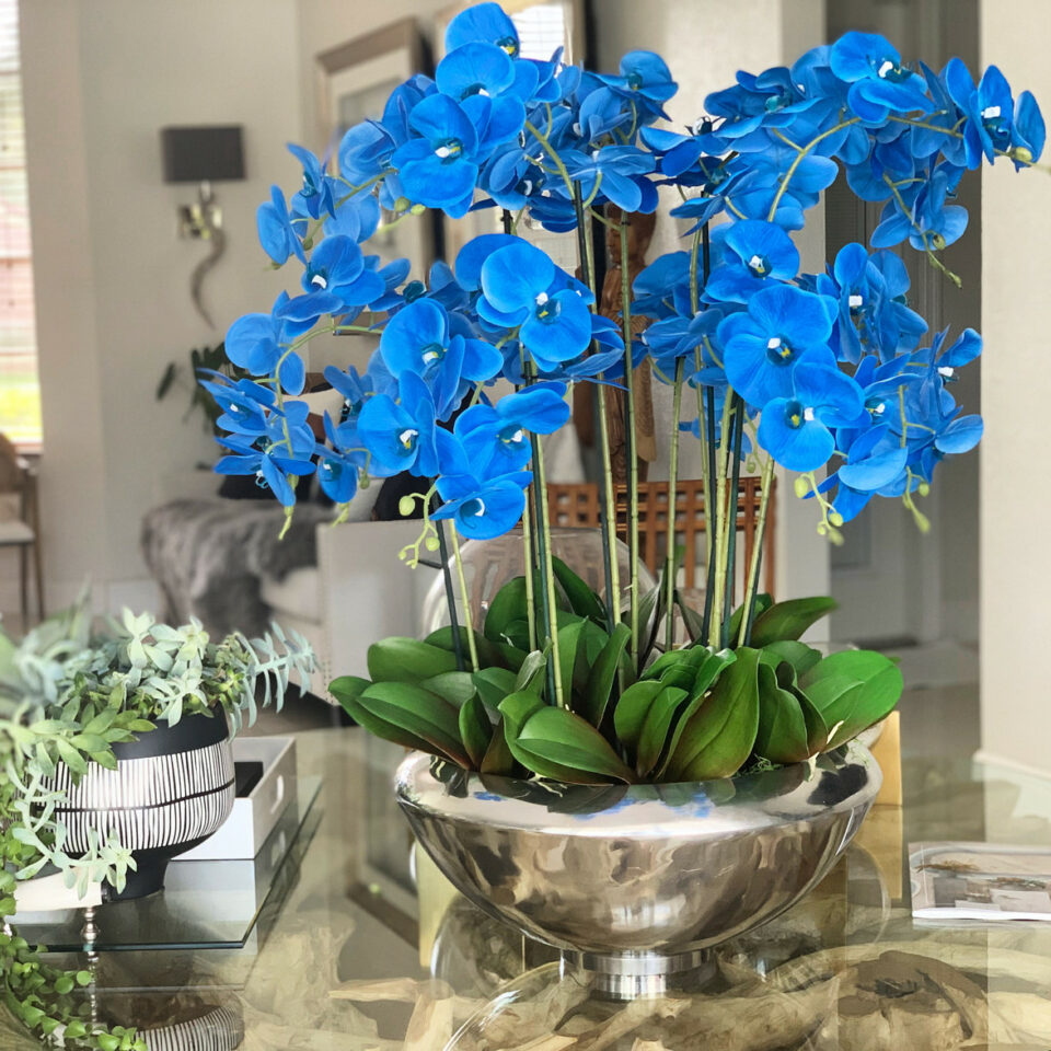 Avenue Bowl with Blue Phalaenopsis Orchids.