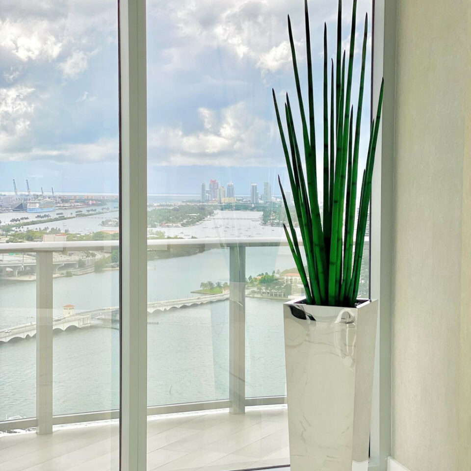 Stainless steel cube-shaped vase with snake grass.