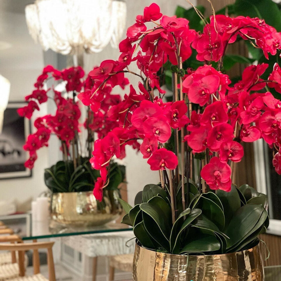 Red Phalaenopsis Orchids in a Medium Gold Vase