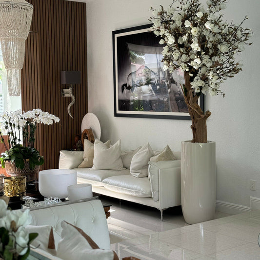 White Magnolia Tree in Glossy Beige St. Tropez Pot