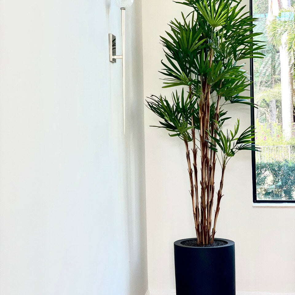 XL Palm Tree in Black Pot