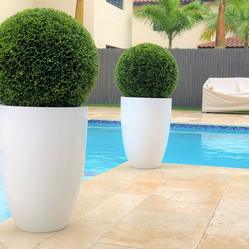 Ben L fiberglass pot with 50 cm topiary.