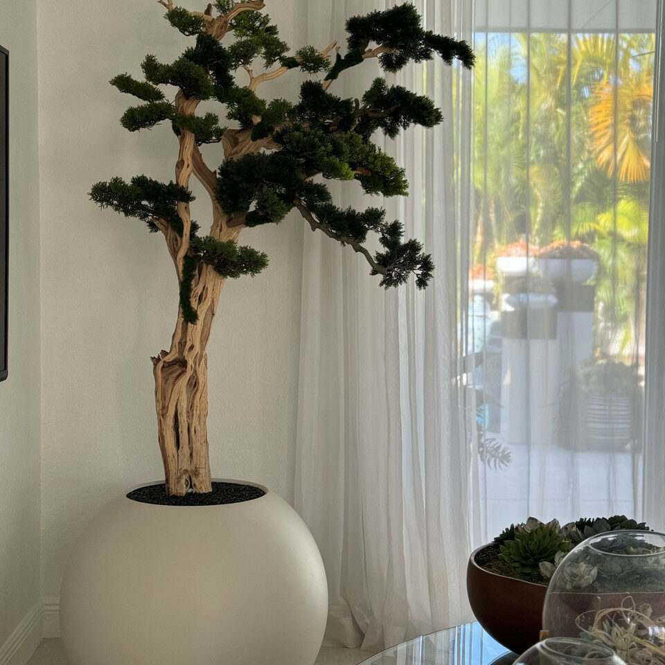 Bonsai in a 75 cm Satin Beige Globe Planter