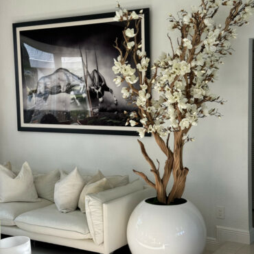 White Magnolia Tree in Glossy White Sphere Pot, 0.76 m