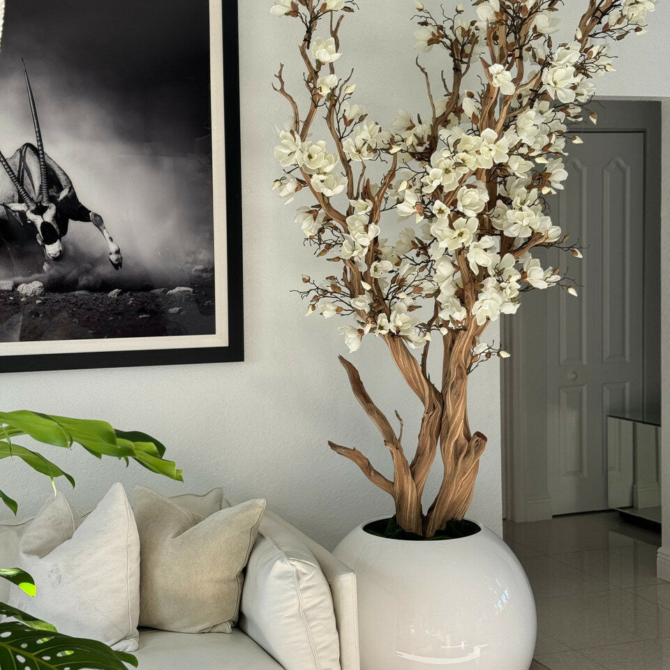 White Magnolia Tree in Glossy White Sphere Pot, 76 cm