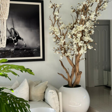 White Magnolia Tree in Glossy White Sphere Pot, 0.76 m