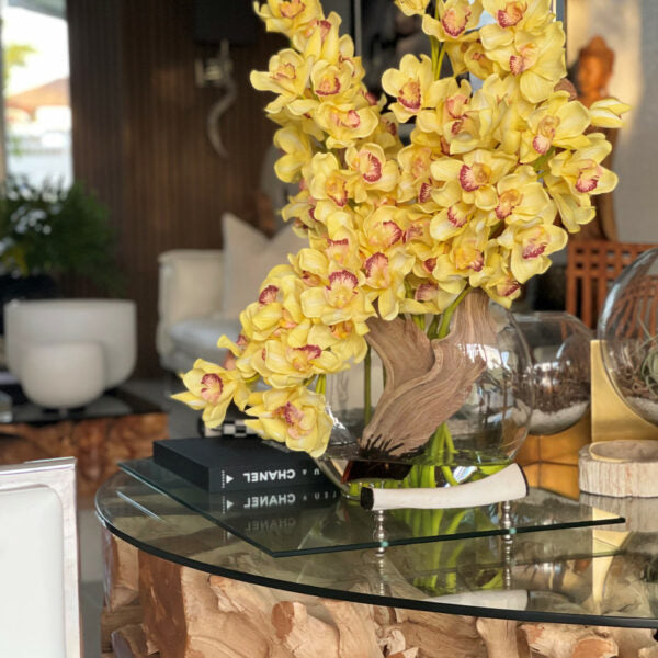 Yellow Cymbidiums in Lunar Planter