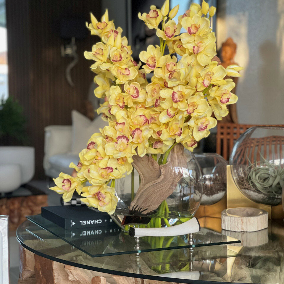 Yellow Cymbidiums in Lunar Planter