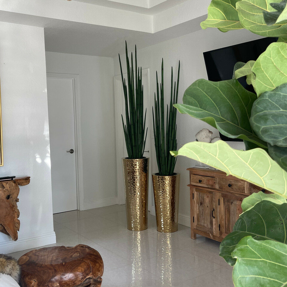 Gold Stainless Steel Conical Vase with Large Snake Grass Plant.