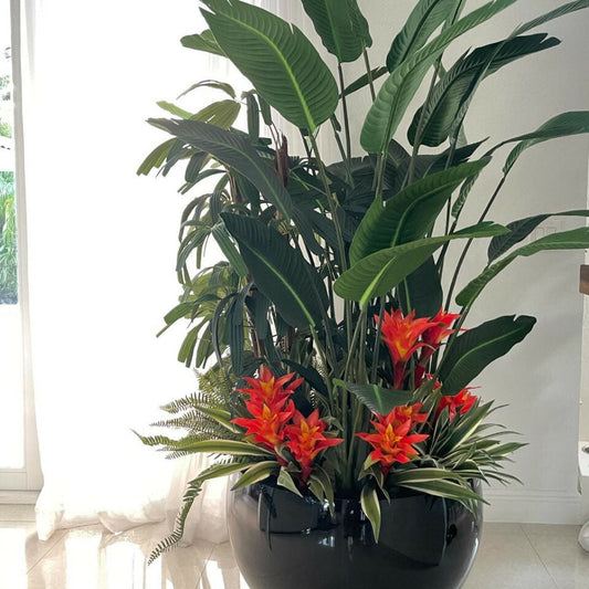 Tropical Plant Arrangement in Black Terragona Pot