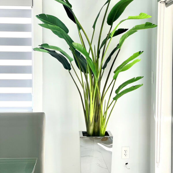 Medium square vase in stainless steel with Bird of Paradise (2.13 m).