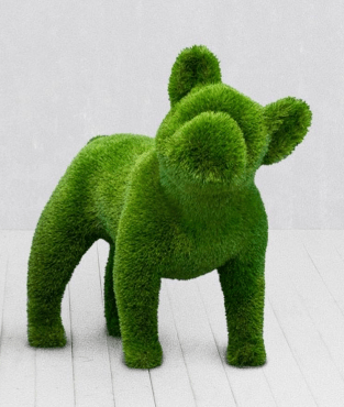 French Bulldog Topiary